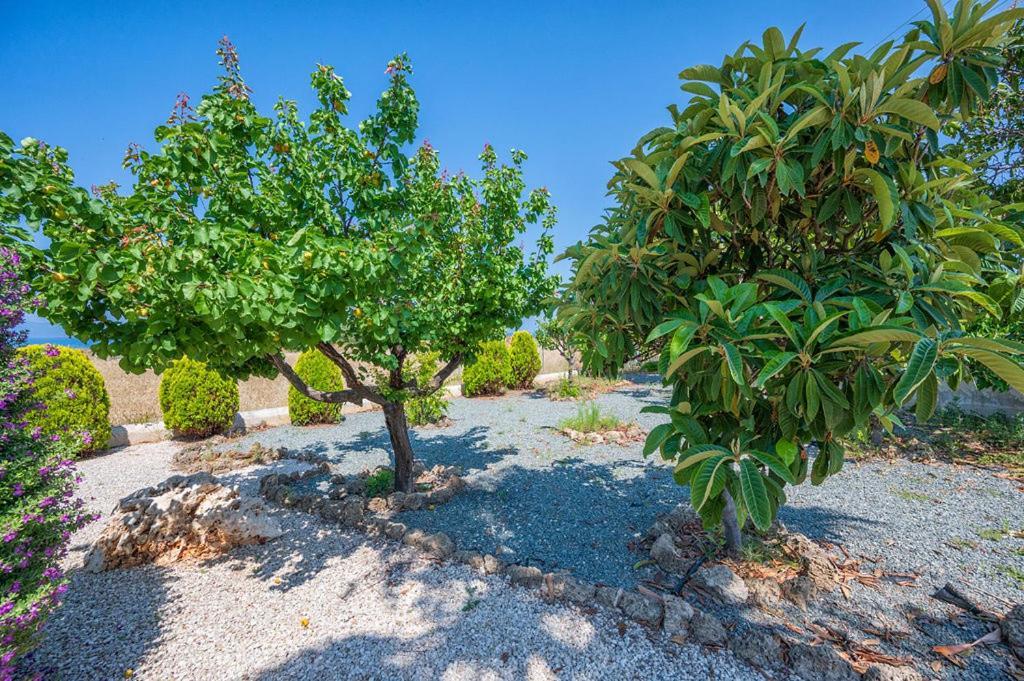 Villa Bimini Argaka Exterior foto